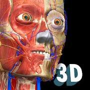 Скачать Anatomy Learning 3D 2.1.425 Mod (Unlocked)