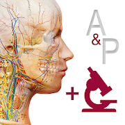 Скачать Anatomy & Physiology 6.0.71 Мод (полная версия)
