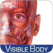 Скачать Muscle Premium - Human Anatomy Kinesiolog 7.1.17 Mod (Unlocked)