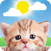 Скачать Weather Kitty - Forecast, Radar & Cat Pictures