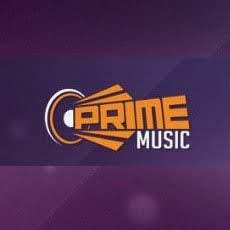 Скачать PrimeMusic 1.1.0 Мод (полная версия)