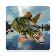 Скачать Рыбалка в Ерках 4.8.5 (Mod Money)