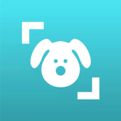 Скачать Dog Scanner – Dog Breed Identification 17.2.1-G Mod (Premium)