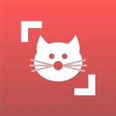 Скачать Cat Scanner – Cat Breed Identification 17.2.1-G Mod (Premium)