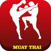 Скачать Muay Thai Fitness - Muay Thai At Home Workout 2.1.1 Mod (Premium)