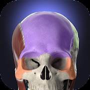 Скачать Anatomyka - 3D Human Anatomy Atlas 3.0.2 Mod (Unlocked)