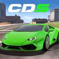 Скачать Car Driving Simulator™ 3D 1.0.26 Mod (Money/Free Shopping)