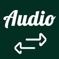 Скачать Audio Converter To Any Format 22 Mod (Pro)