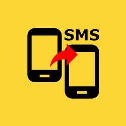 Скачать SMS Forwarder 5.8.28 Мод (полная версия)