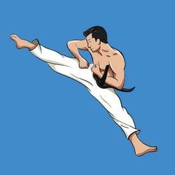Скачать Mastering Taekwondo at Home 1.3.1 Mod (Unlocked)
