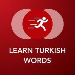 Скачать Tobo: Learn Turkish Vocabulary 2.7.9 Mod (Premium)