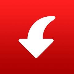 Скачать Pinterest Video Downloader 1.7.1 Mod (Premium)