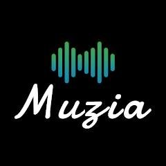 Скачать Muzia: Music on Display 1.1.7 Mod (Premium)