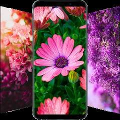 Скачать Flower Wallpapers in HD, 4K 5.0.49 Mod (Premium)