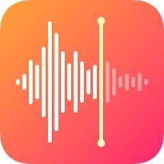 Скачать Voice Recorder & Voice Memos 1.1.1.4 Mod (Pro)