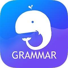 Скачать English Grammar: Learn & Test 3.5 b29 Mod (Premium)