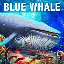 Скачать Blue Whale Simulator - Game 1.1.8 (Mod Money)