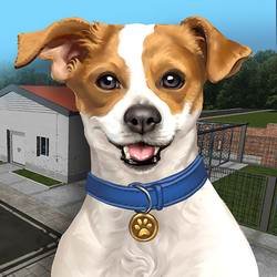 Скачать Animal Shelter Simulator 1.368 (Mod Money)