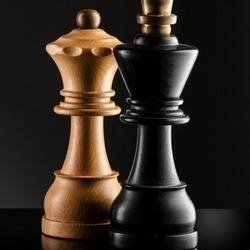 Скачать Chess 2.8.8 Mod (Premium)