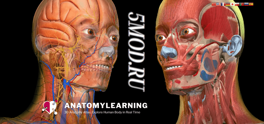 Anatomy Learning - 3D Anatomy Atlas для андроида
