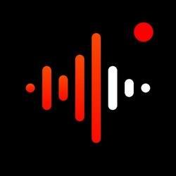 Скачать Voice Recorder & Voice Memos 1.2.4 Mod (VIP)
