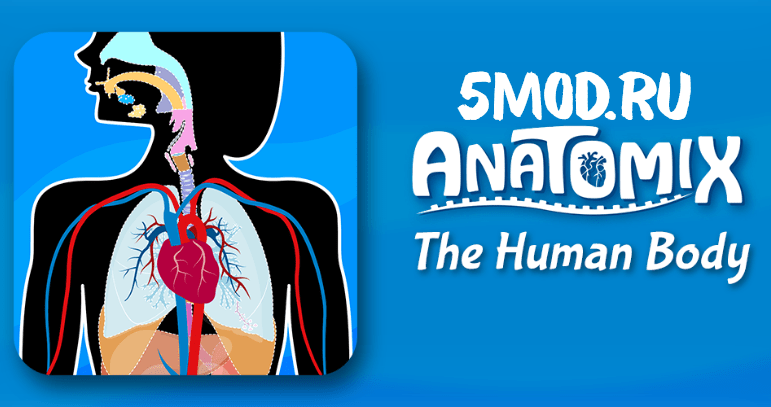 Anatomix - Human Anatomy